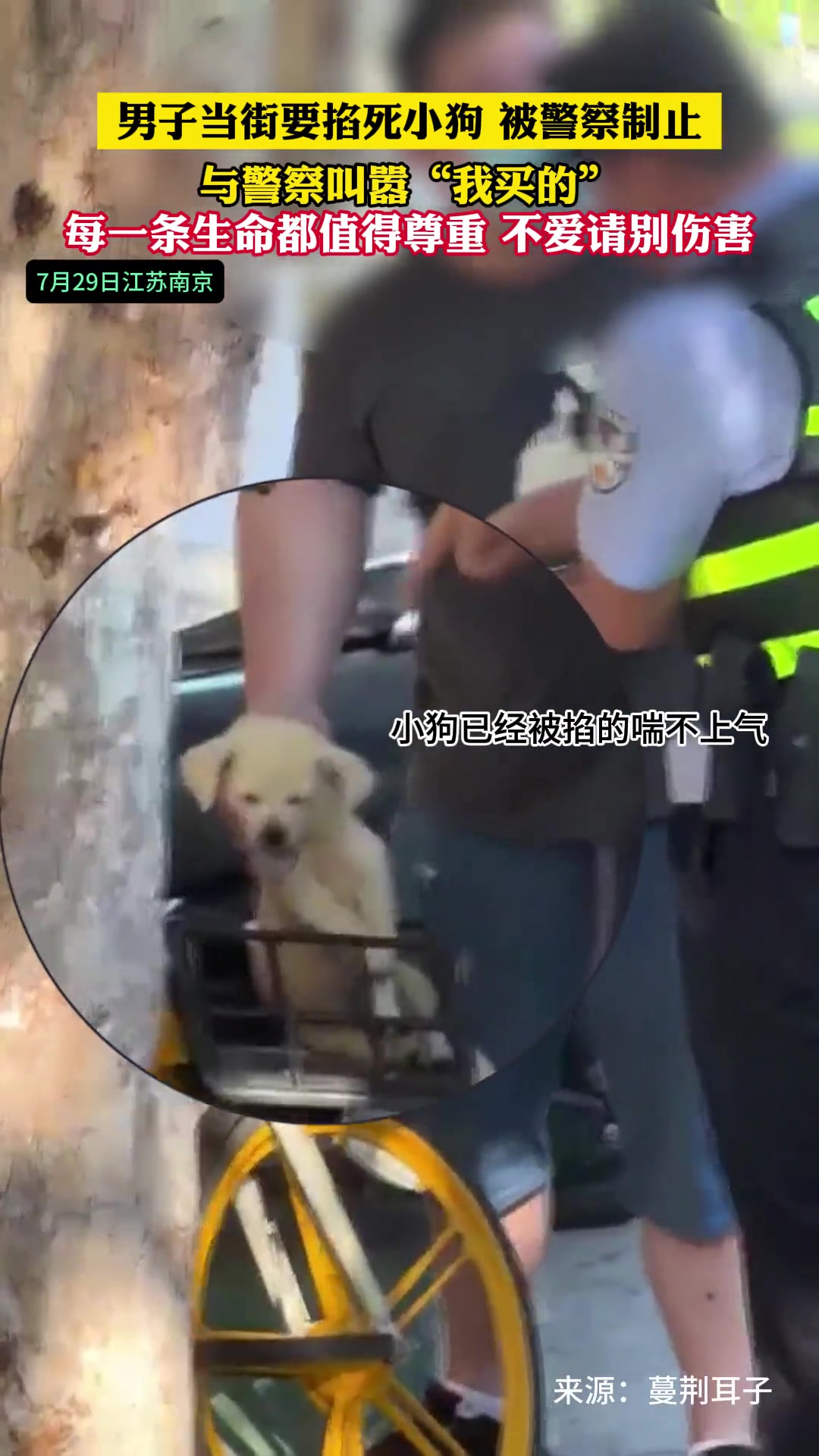 男子当街要掐死小狗，警察制止时还叫嚣：这是我买的