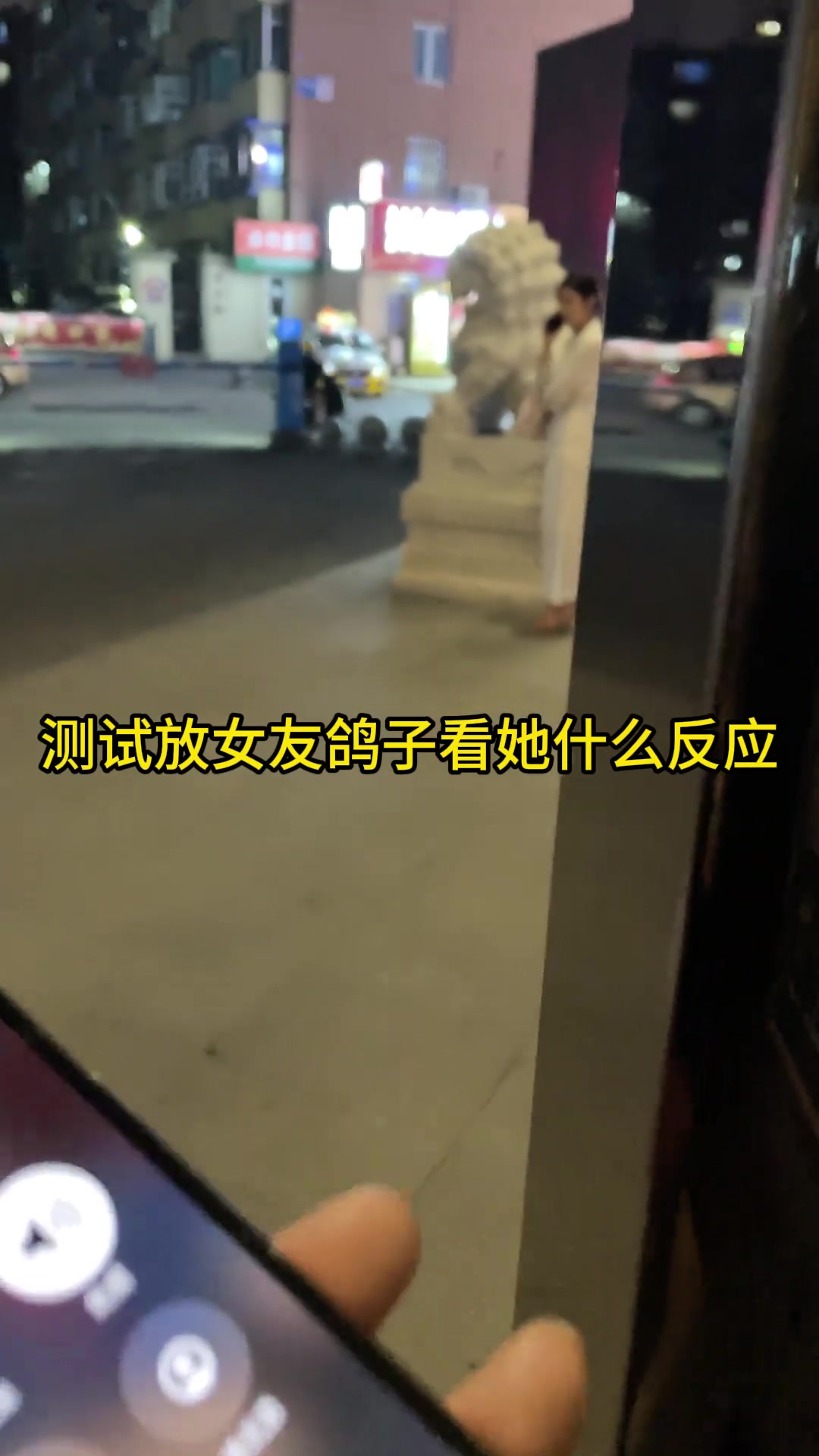 测试放女朋友鸽子看她啥反应