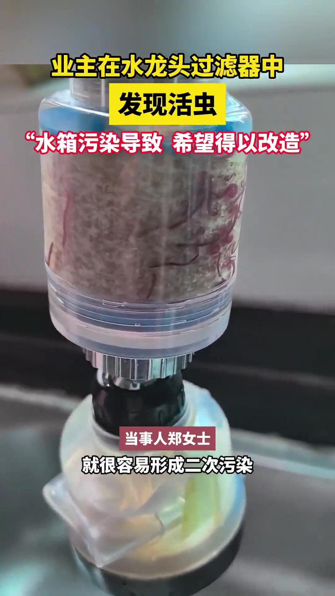 业主在水龙头过滤器中发现活虫