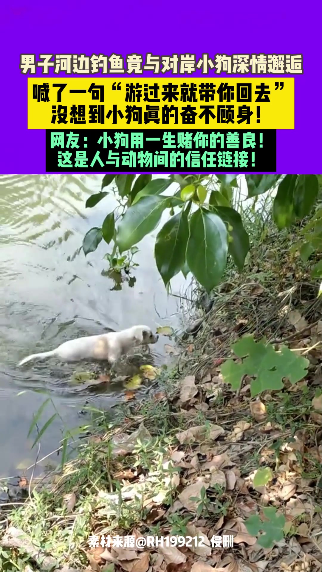 钓鱼佬果然除了钓不到鱼，啥都能撩到