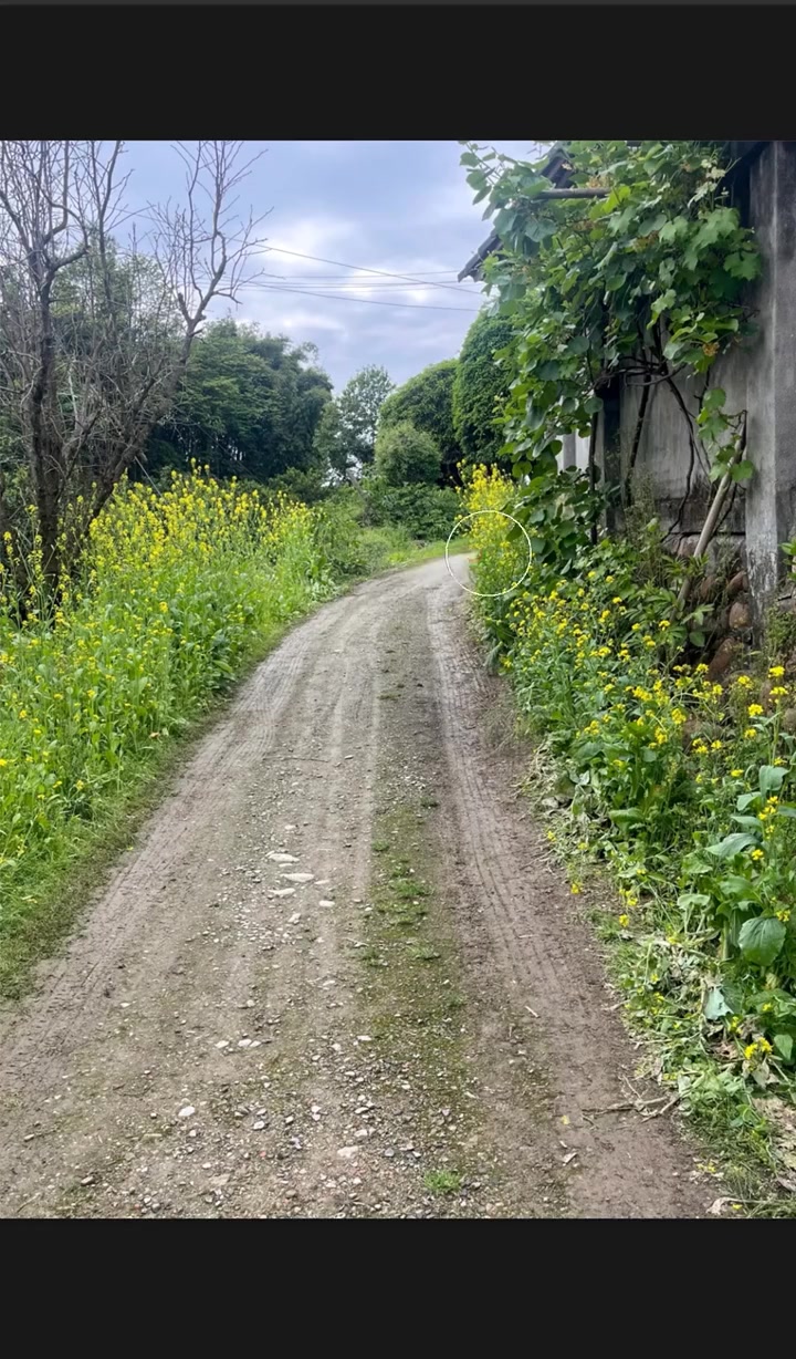 我女朋友终于愿意来我们村过年了
