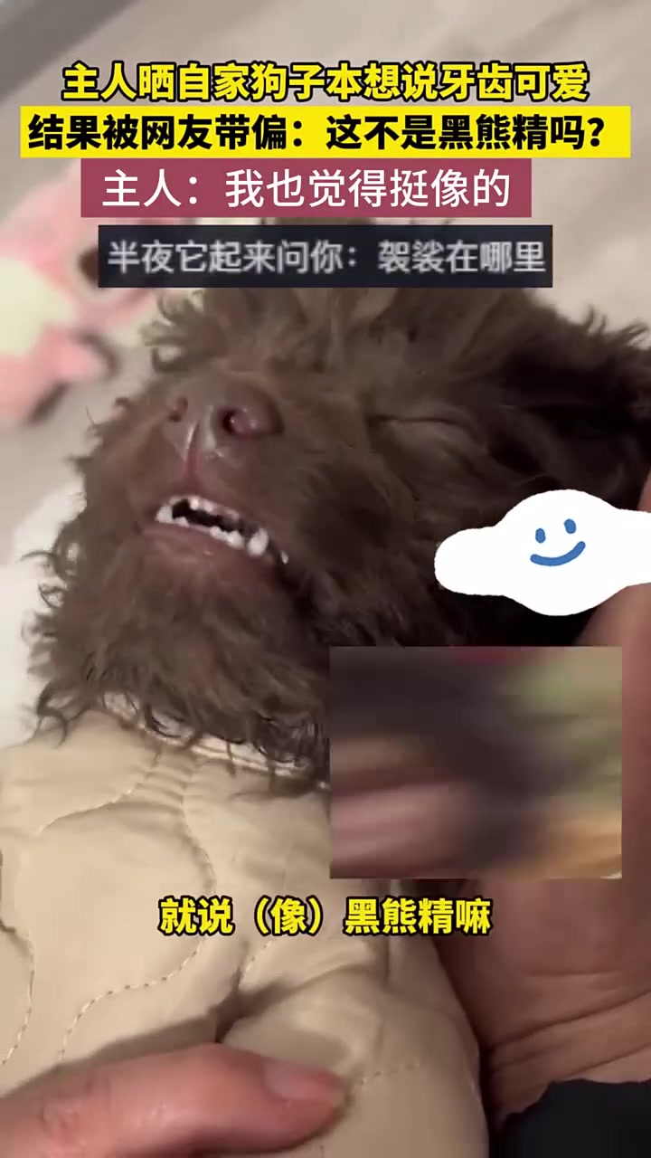 这可不就是黑熊精吗