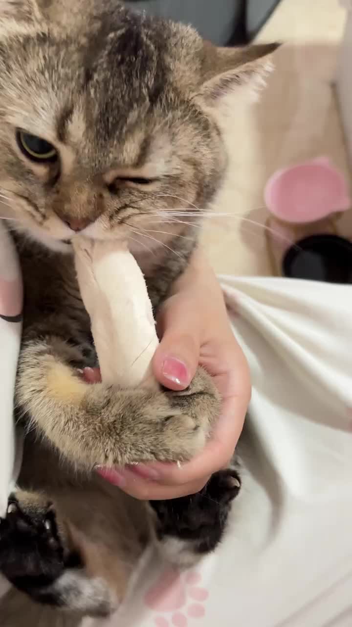 碰一下就不要了，这是反向护食吗