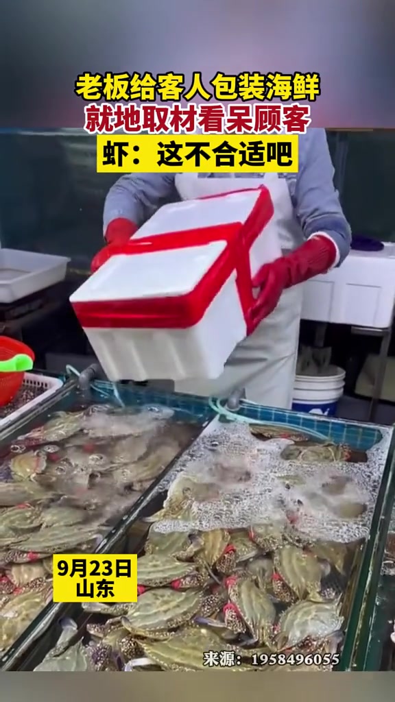 虾没想到除了能被吃，还能当切胶纸刀！