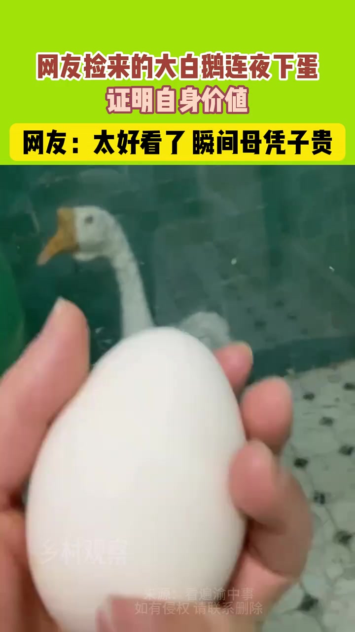 原来这就是母凭子贵！