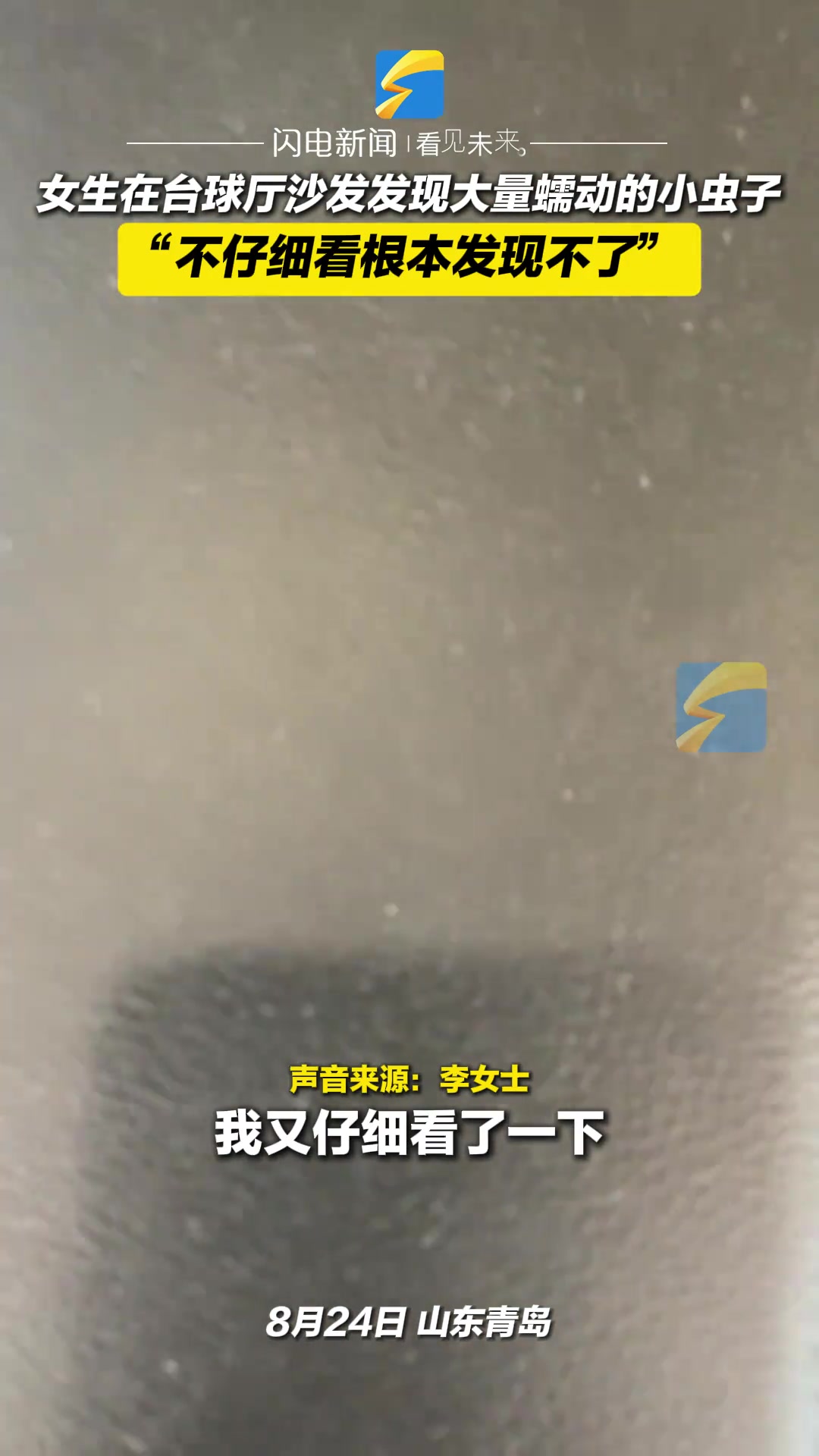 女生在台球厅沙发发现大量蠕动的小虫子不仔细看根本发现不了