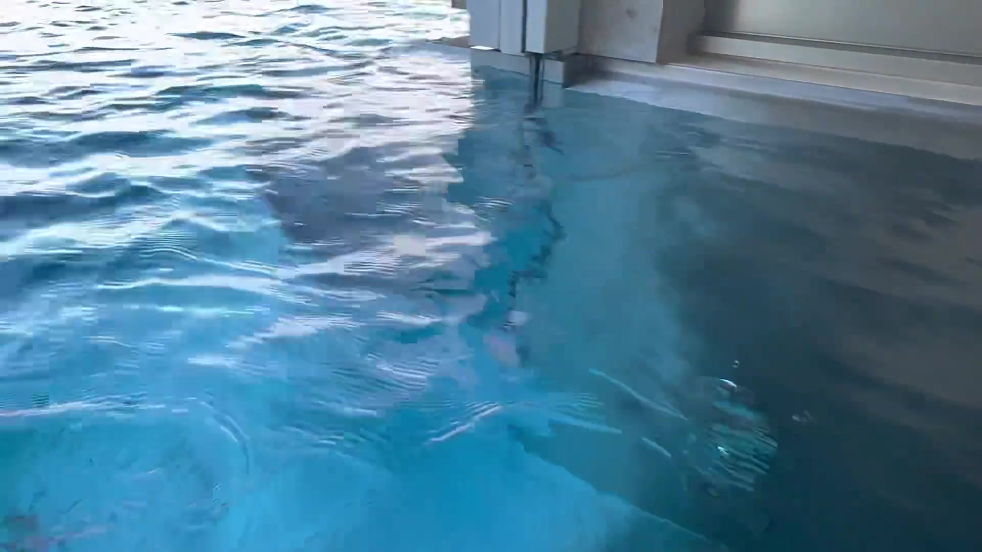 瑞士卢塞恩的这个酒店景色也太好了