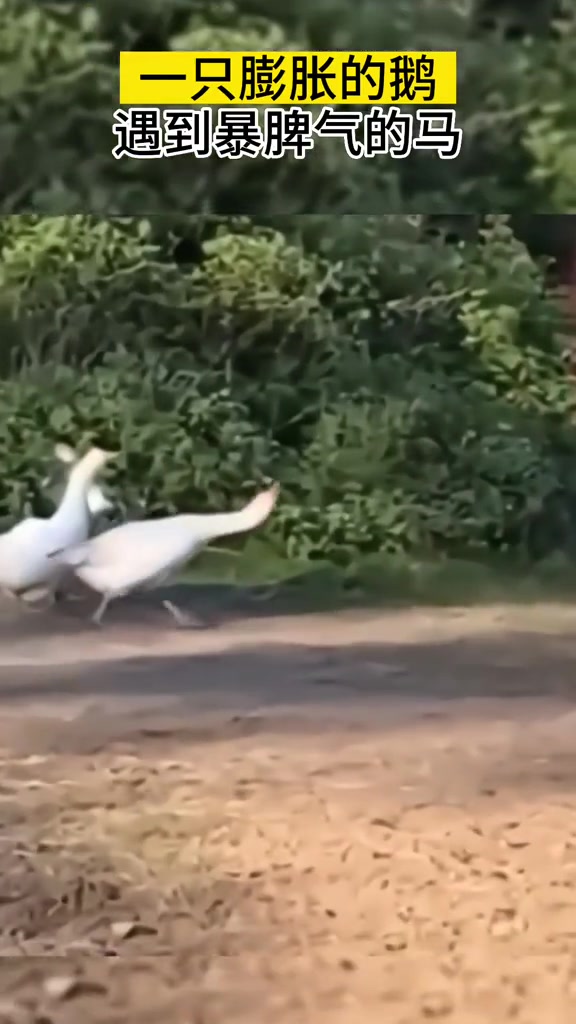 社会的毒打把我打出脑溢血了！