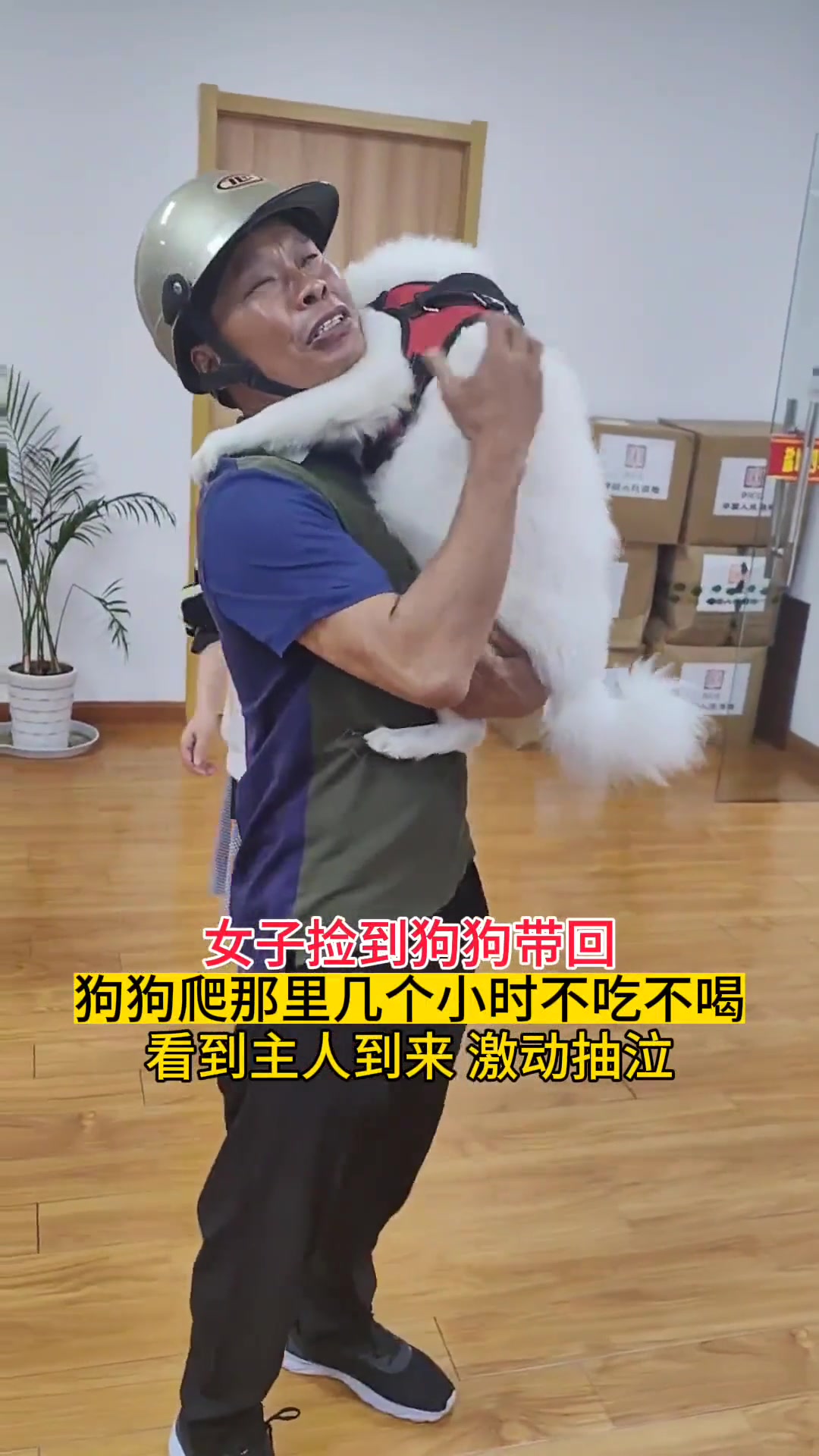 女子捡到走丢的狗子，狗子一直不吃不喝，见到主人后高兴坏了