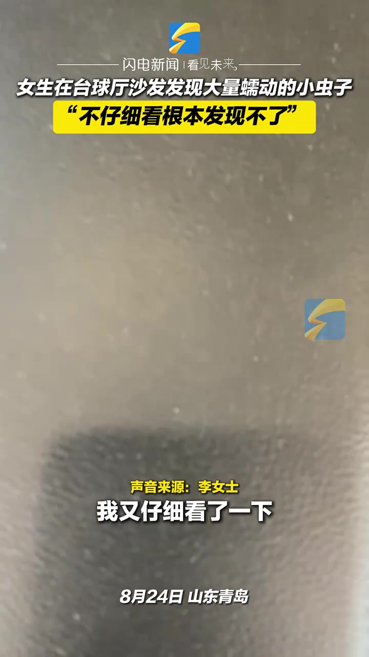 女子在台球厅发现沙发上大量白色小虫