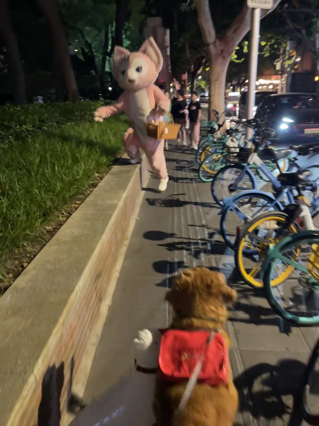 看得出来双方都很谨慎