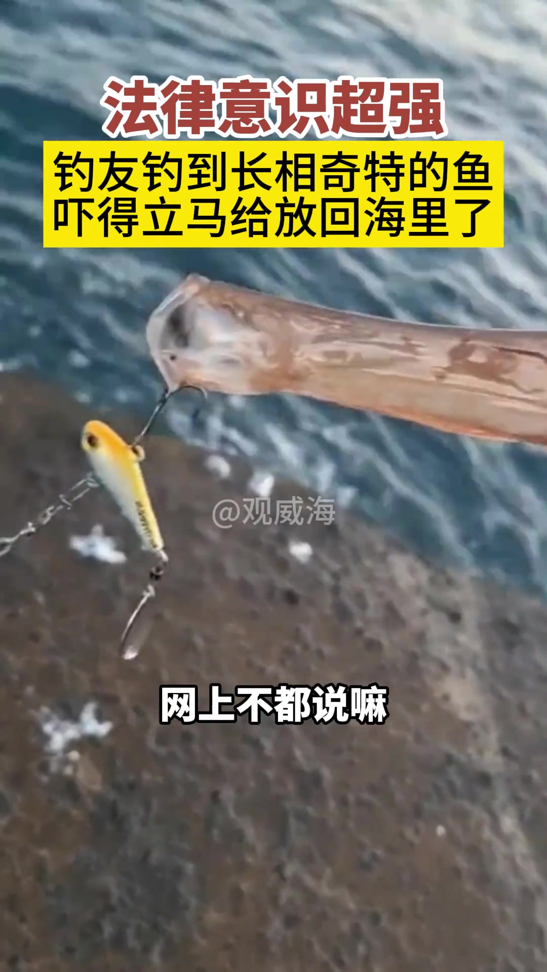 钓友钓到一条长相奇特的鱼，超强的法律意识促使他立马给放了
