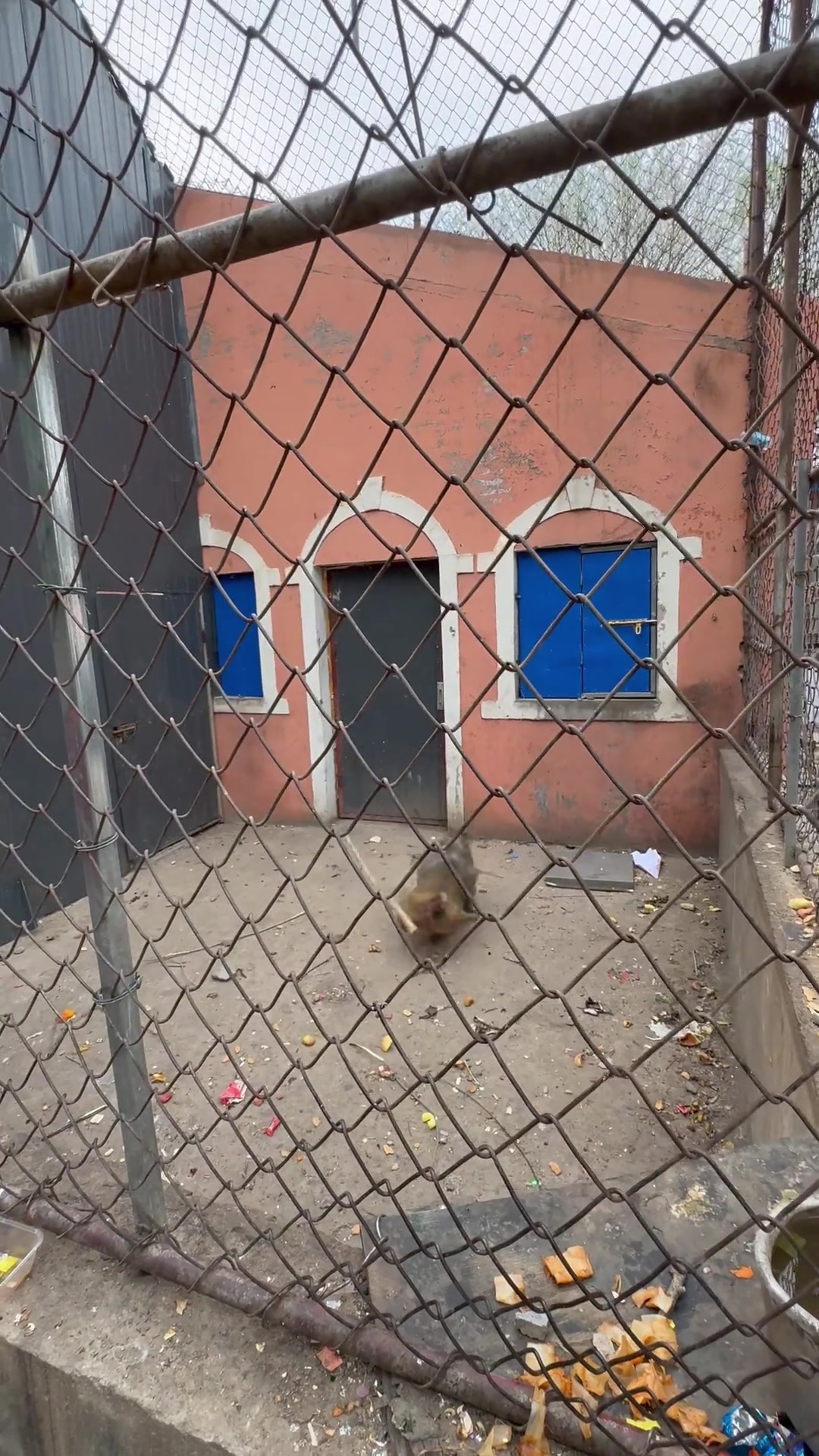 猴哥：想起来了，全都想起来了，我是天命人