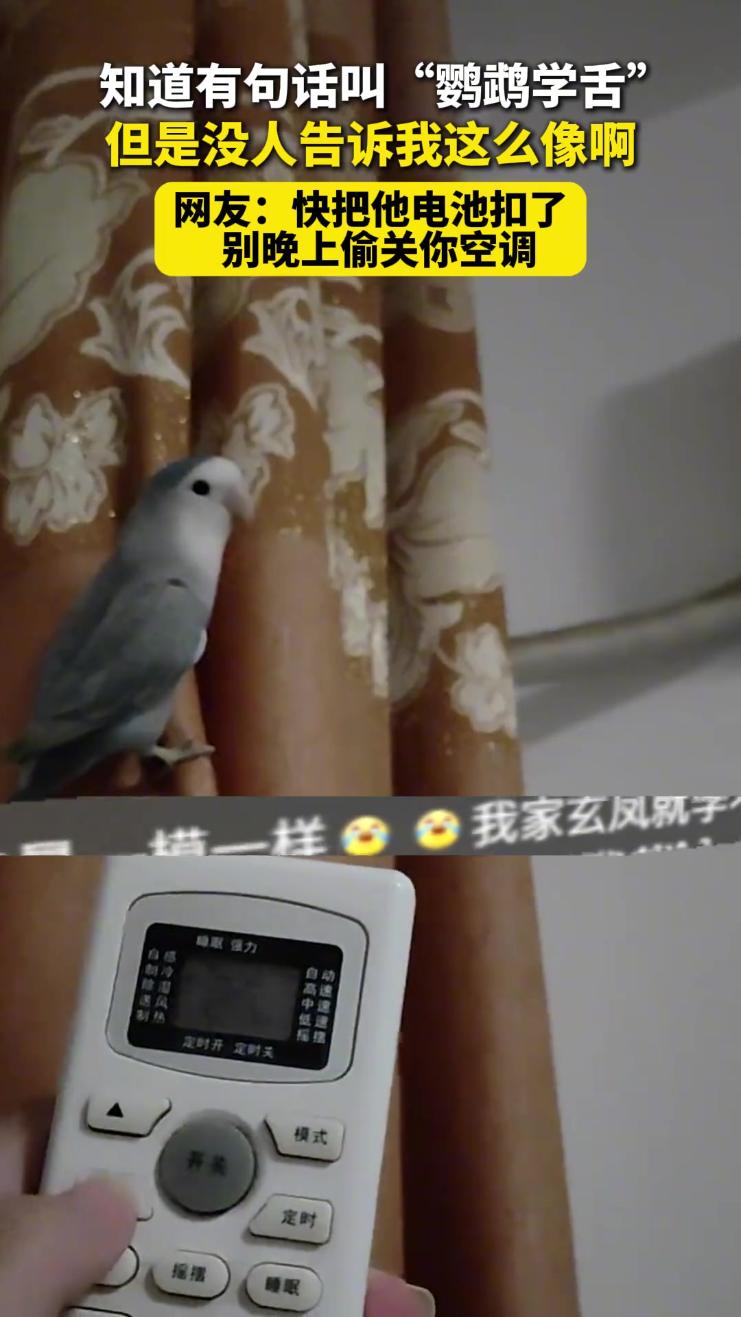 你这鹦鹉咋啥都学啊