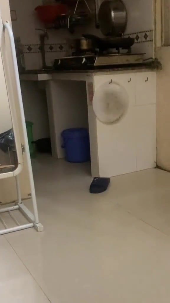 大家看好了，它自己跑过去的