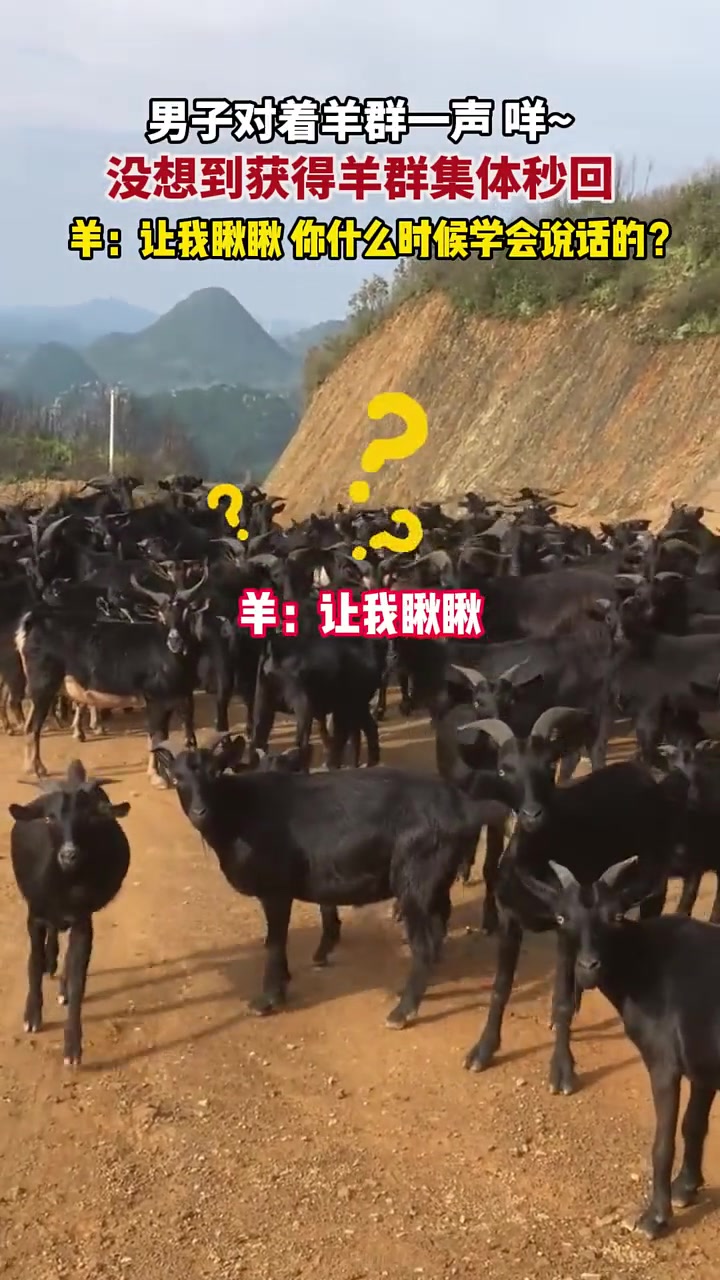 你啥时候学会说话的你！！