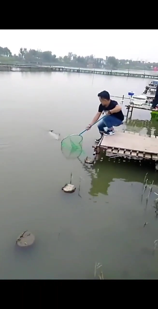 鱼你看我一个假动作就晃他掉下来