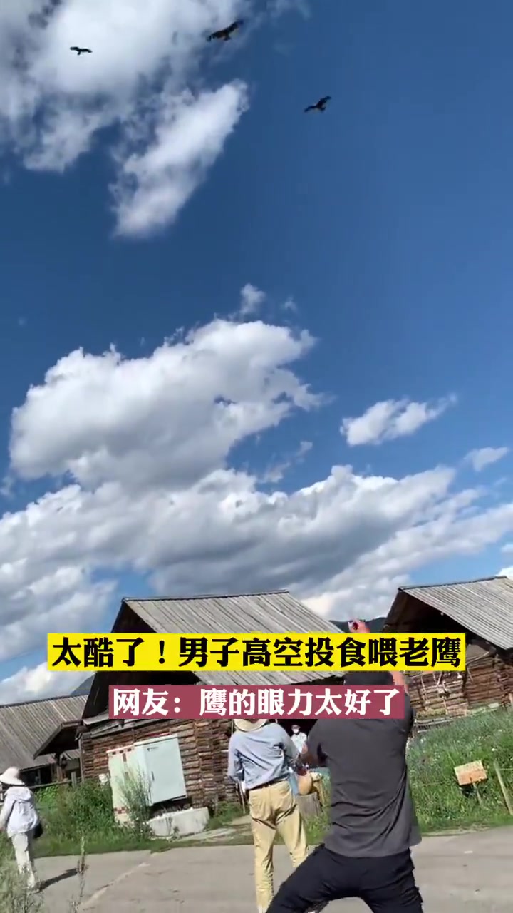 鹰的眼睛也太尖了吧！！