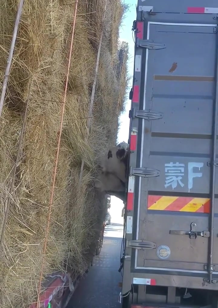 牛：高速路上还能有外卖