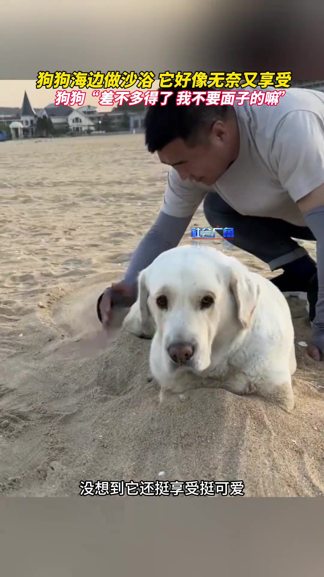 主人给狗子在海边做沙浴，它好像无奈又享受