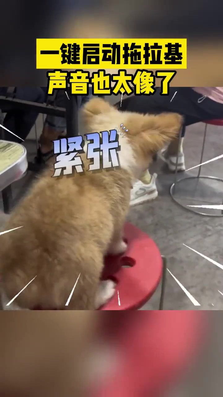 一键启动拖拉机，声音也太像了