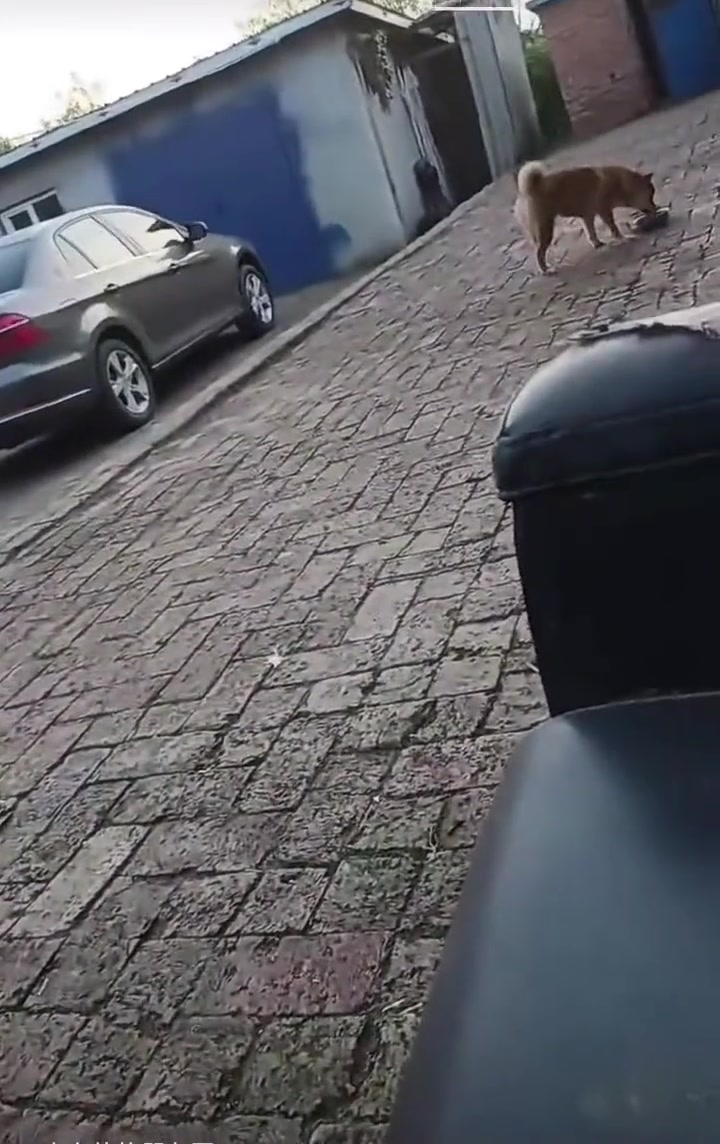 为了掩饰尴尬赶快跑过去喝水