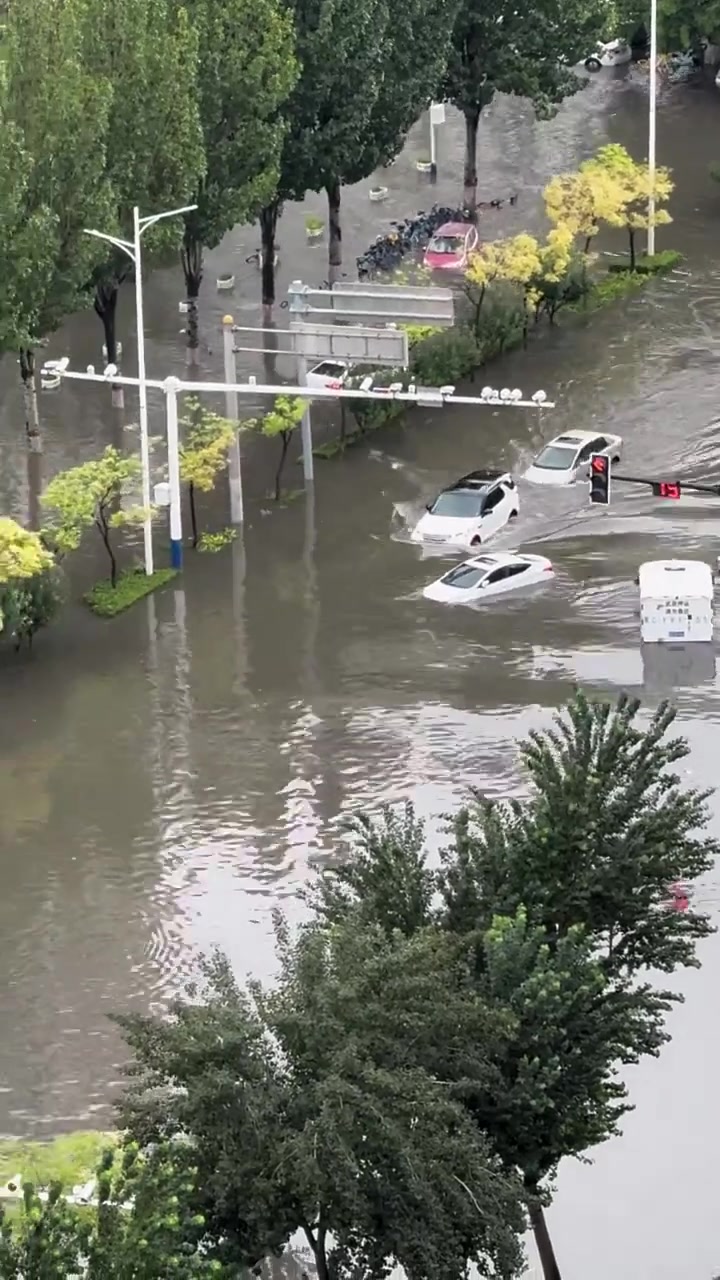 以为有车带路就能过去了