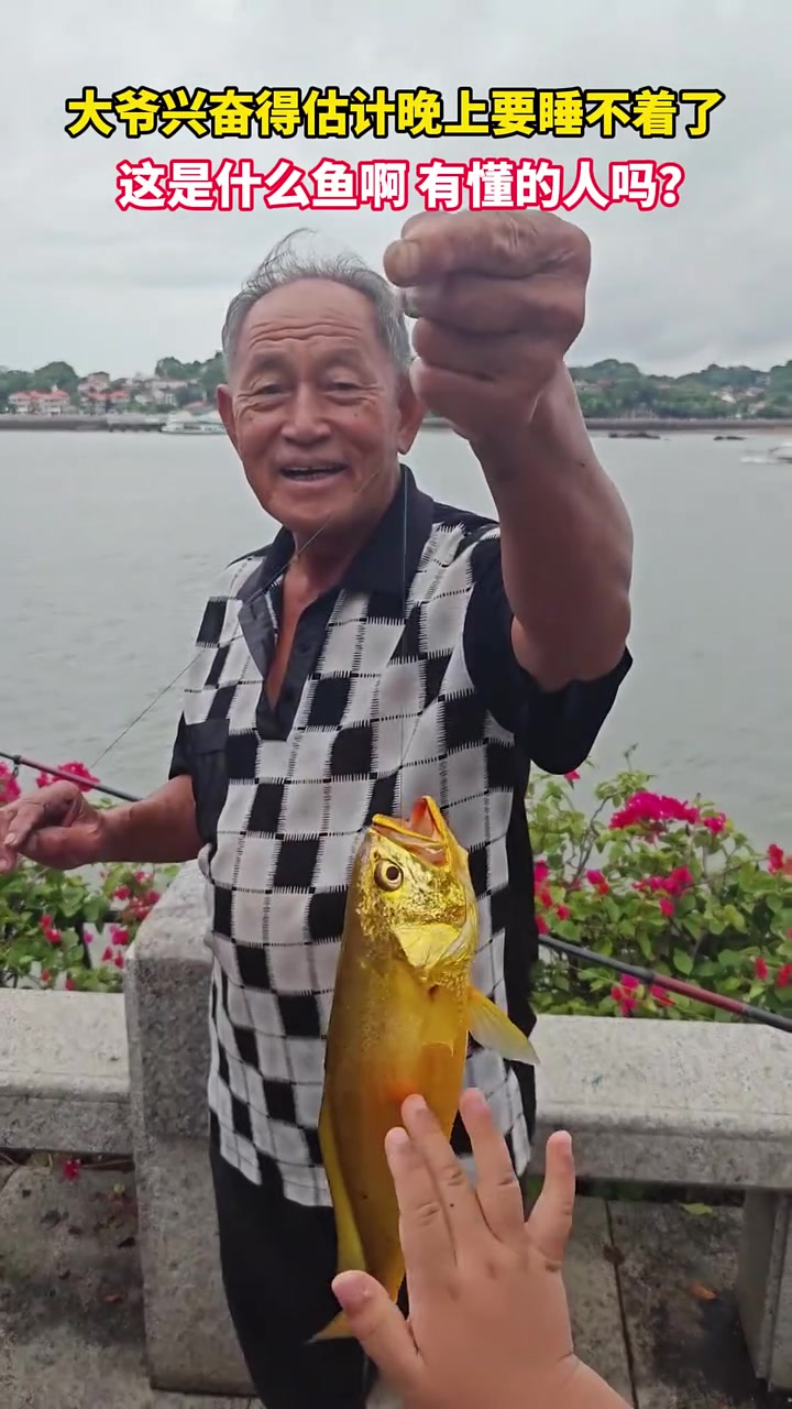 钓鱼佬大爷兴奋得估计晚上要睡不着了！这是什么鱼啊，有懂的人吗