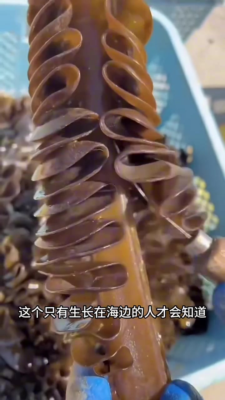 这杆子确实没怎么见过