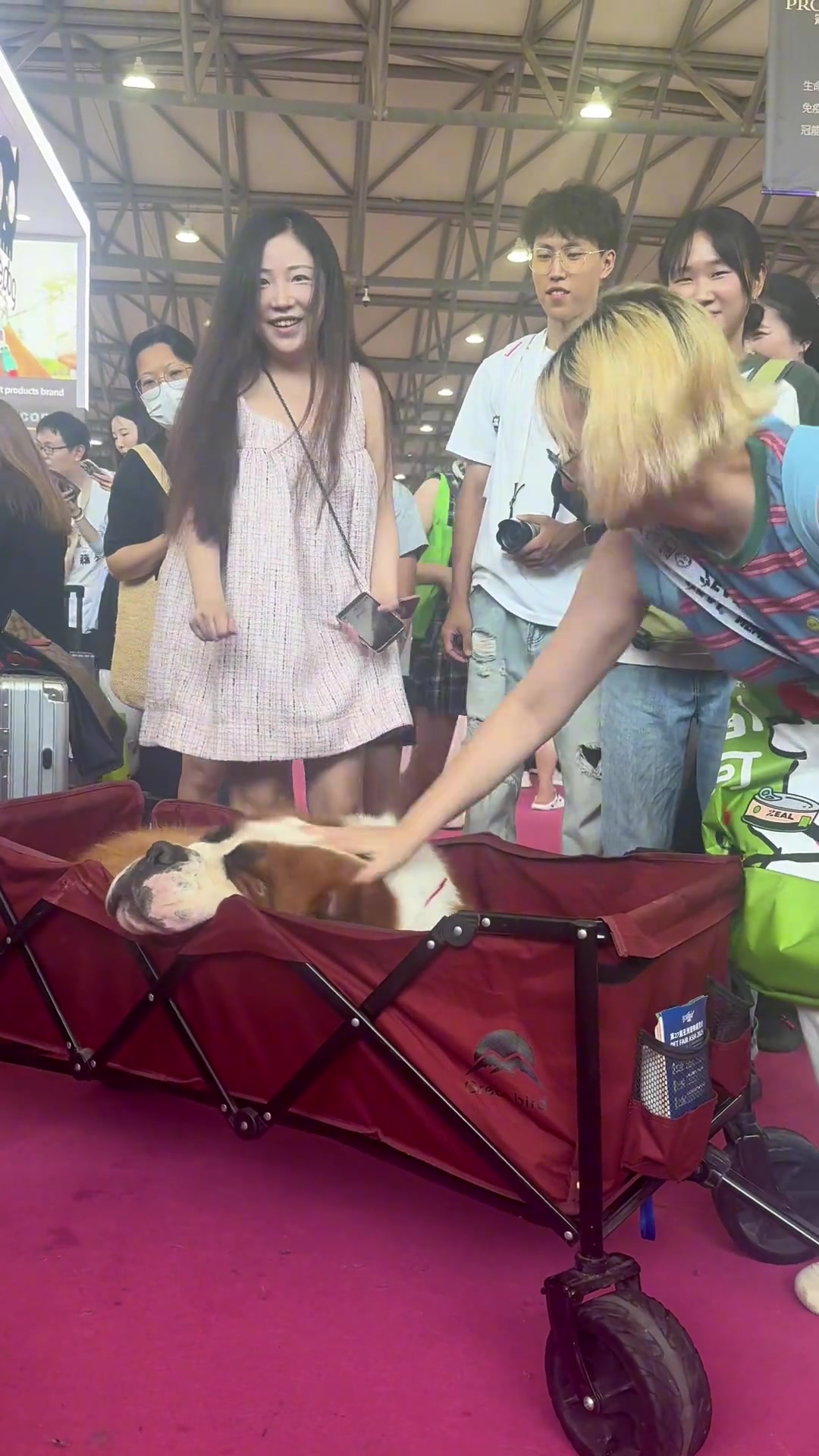 要是把狗子弄生气了，反咬一口可咋办呢