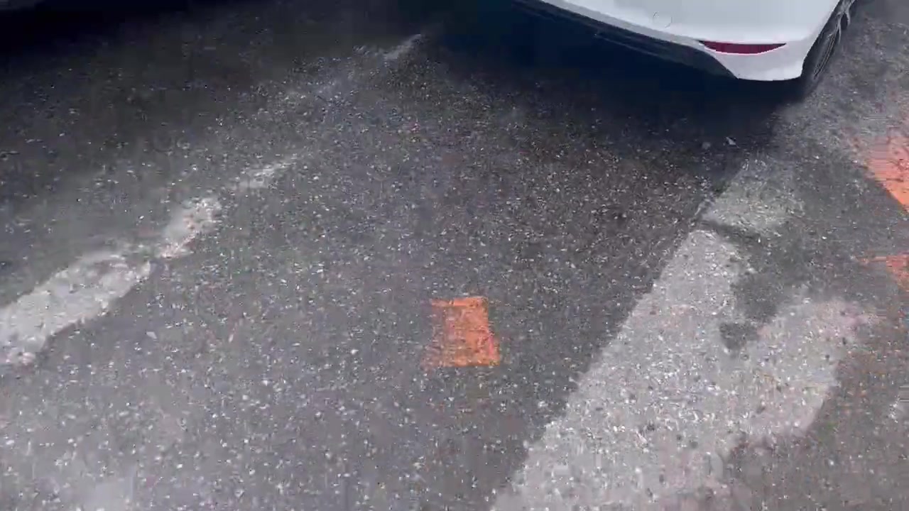 完了完了！这下姐姐不要你的车了！