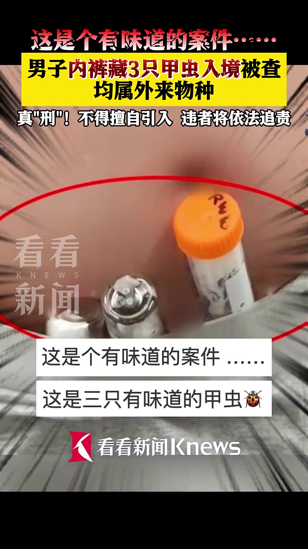 男子内裤藏3只甲虫入境被查！