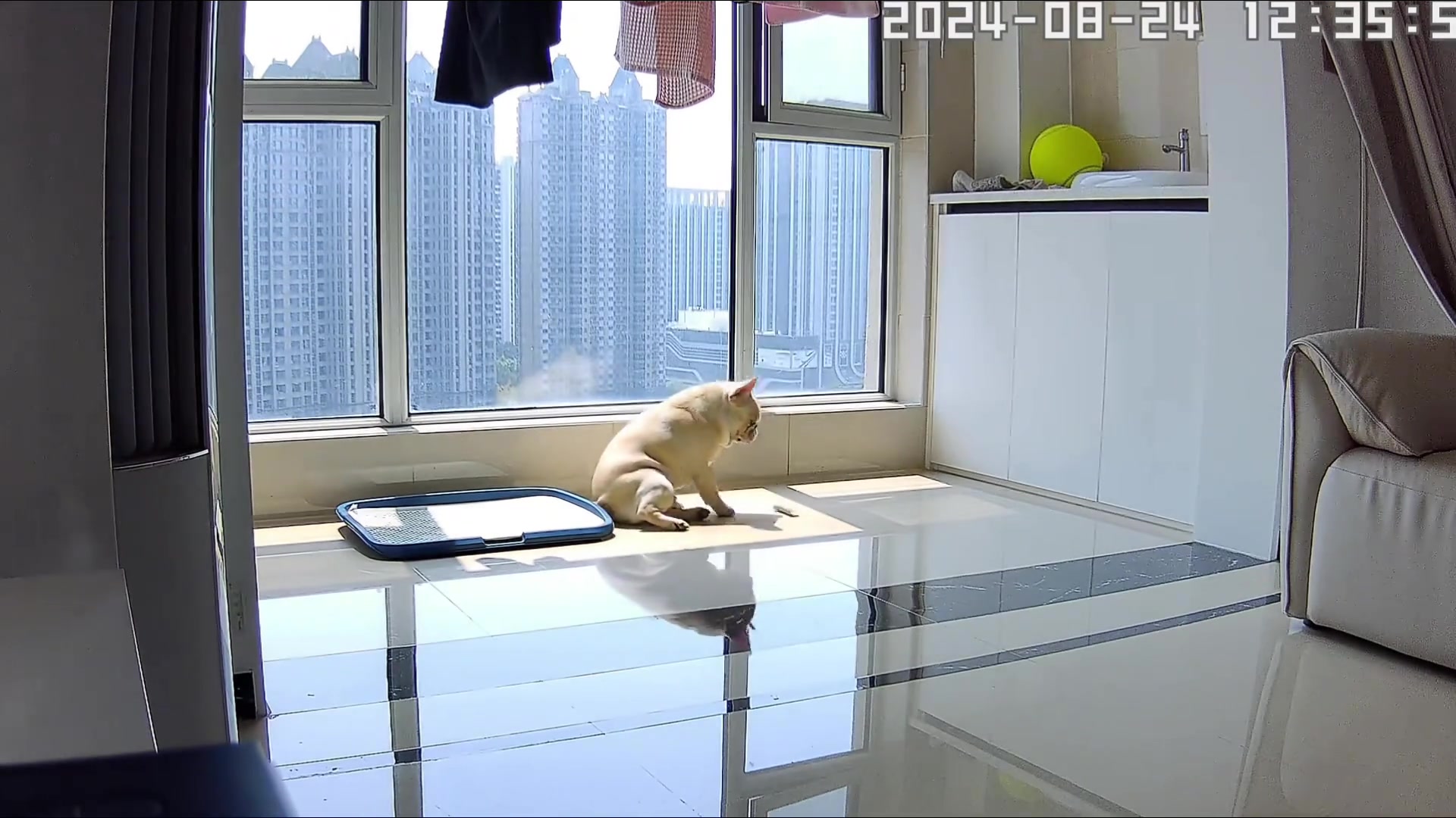 被烫到一次还不死心！