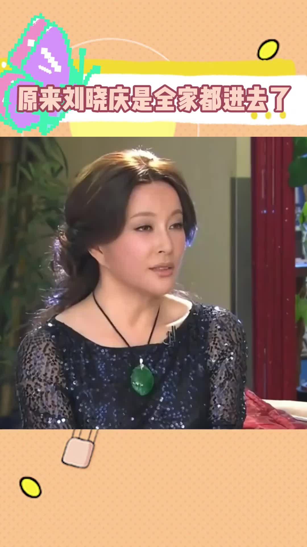 原来当年刘晓庆全家都进去了，果然会计都是