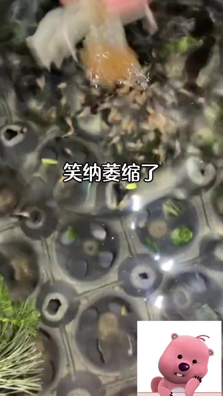 你人怪好的嘞！帮我提前结束产假！