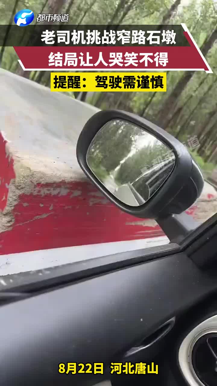 老司机挑战窄路石墩，结局让人哭笑不得！