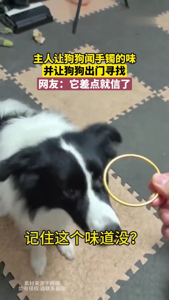 不做无法实现的梦！你就让我这个研究生做这个