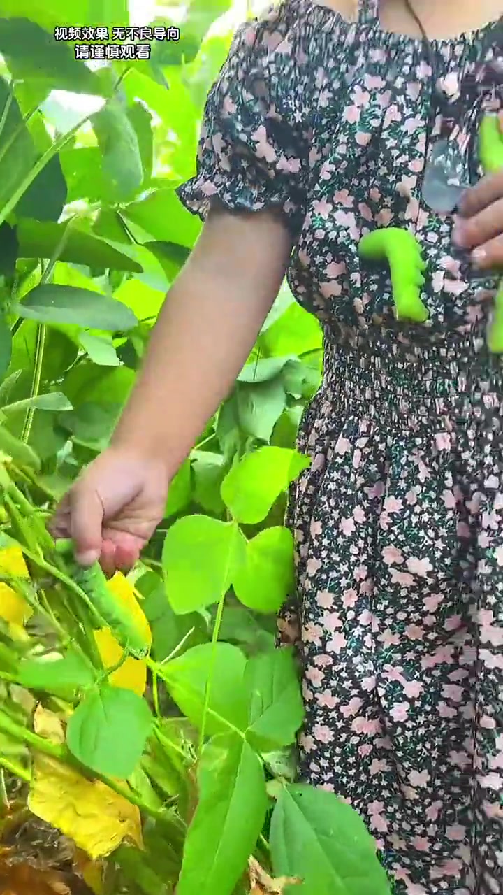 彪悍的女子幼体版，要我抓我是不敢