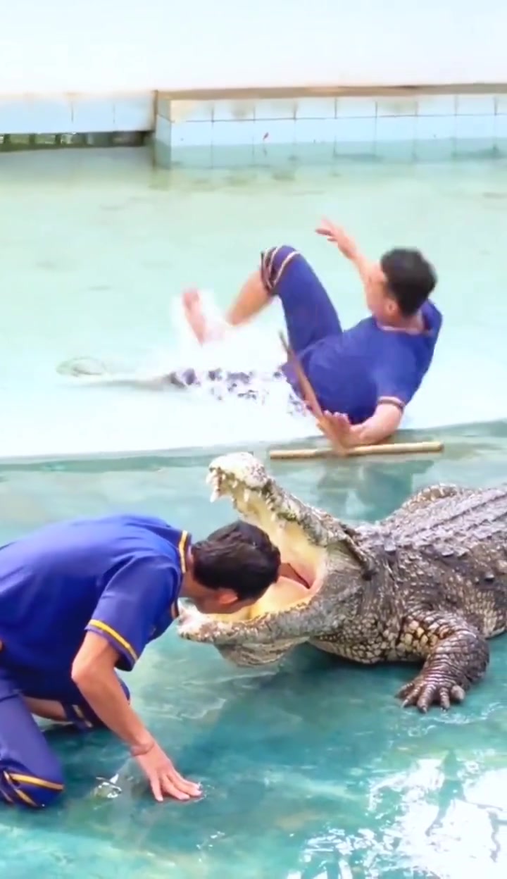 手稍微慢一点以后怕是成杨过了