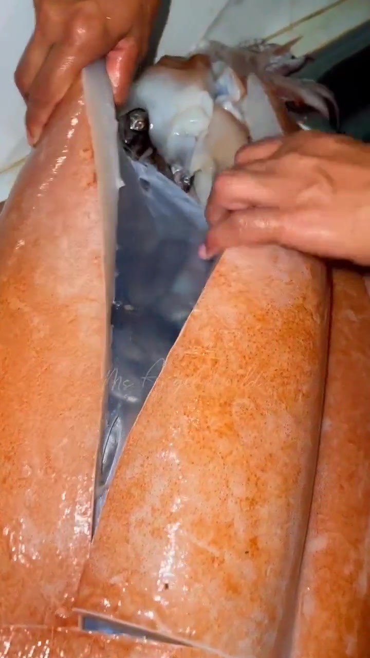 鱿鱼的肚子里跟仓库一样