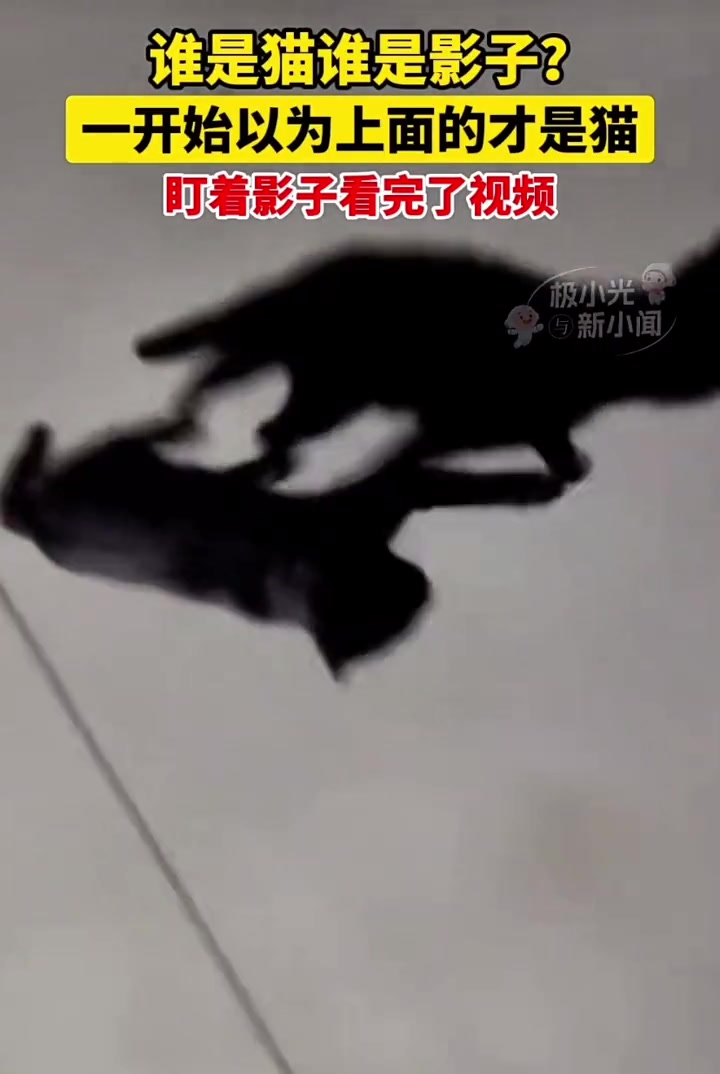 这大晚上的看到也太吓人了吧