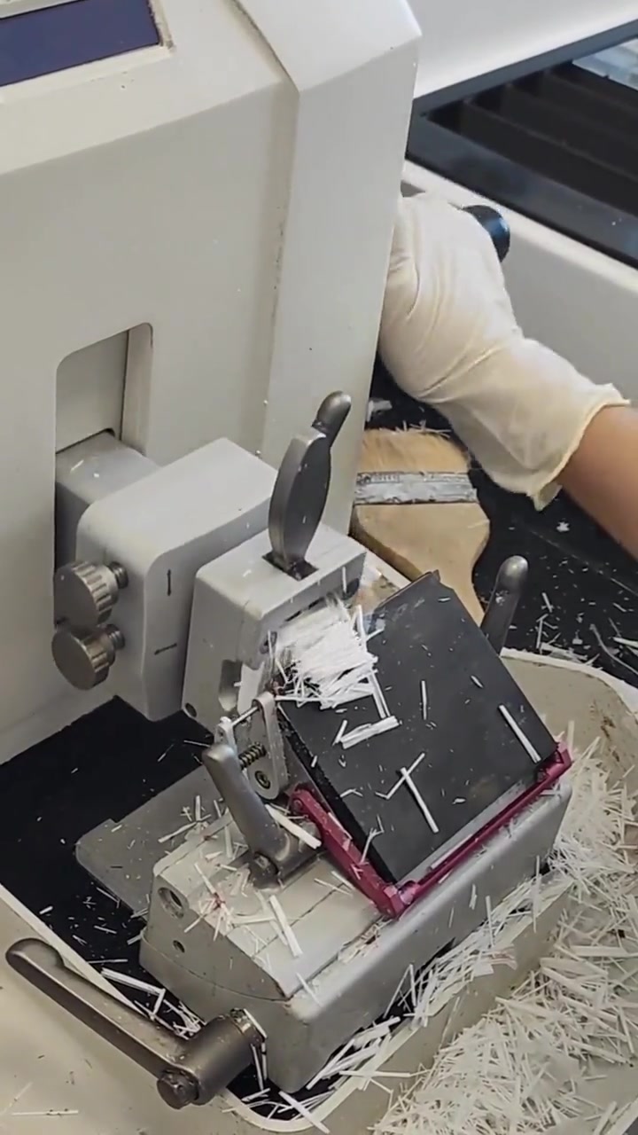 网友分享病理切片过程，看起来还挺解压