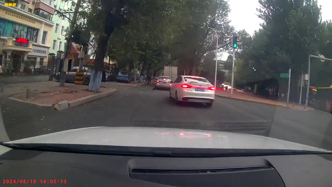 还好是狗！溜狗不牵绳，狗狗对着汽车冲去被撞倒在地！