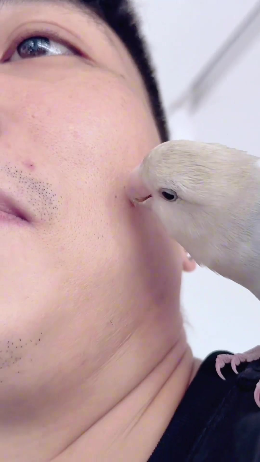 它怎么就那么喜欢帮人拔胡子啊