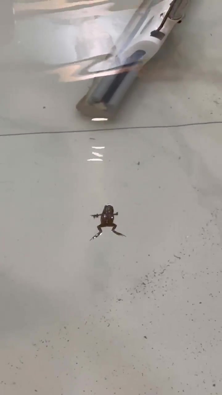 不好意思我还是喜欢你成熟的样子！