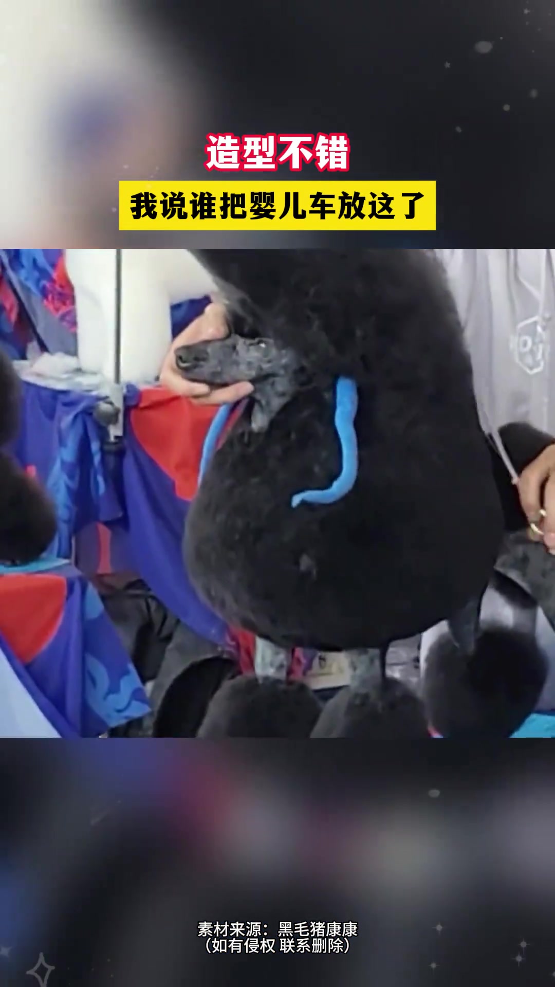 乍一看还真以为是婴儿车！