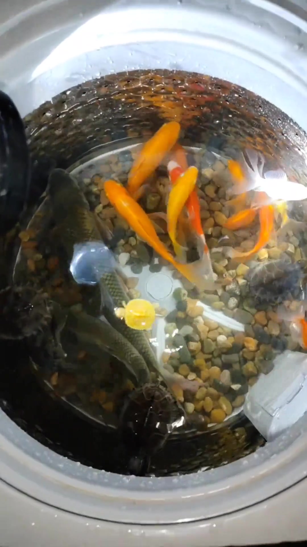 可千万别按到甩干键了！