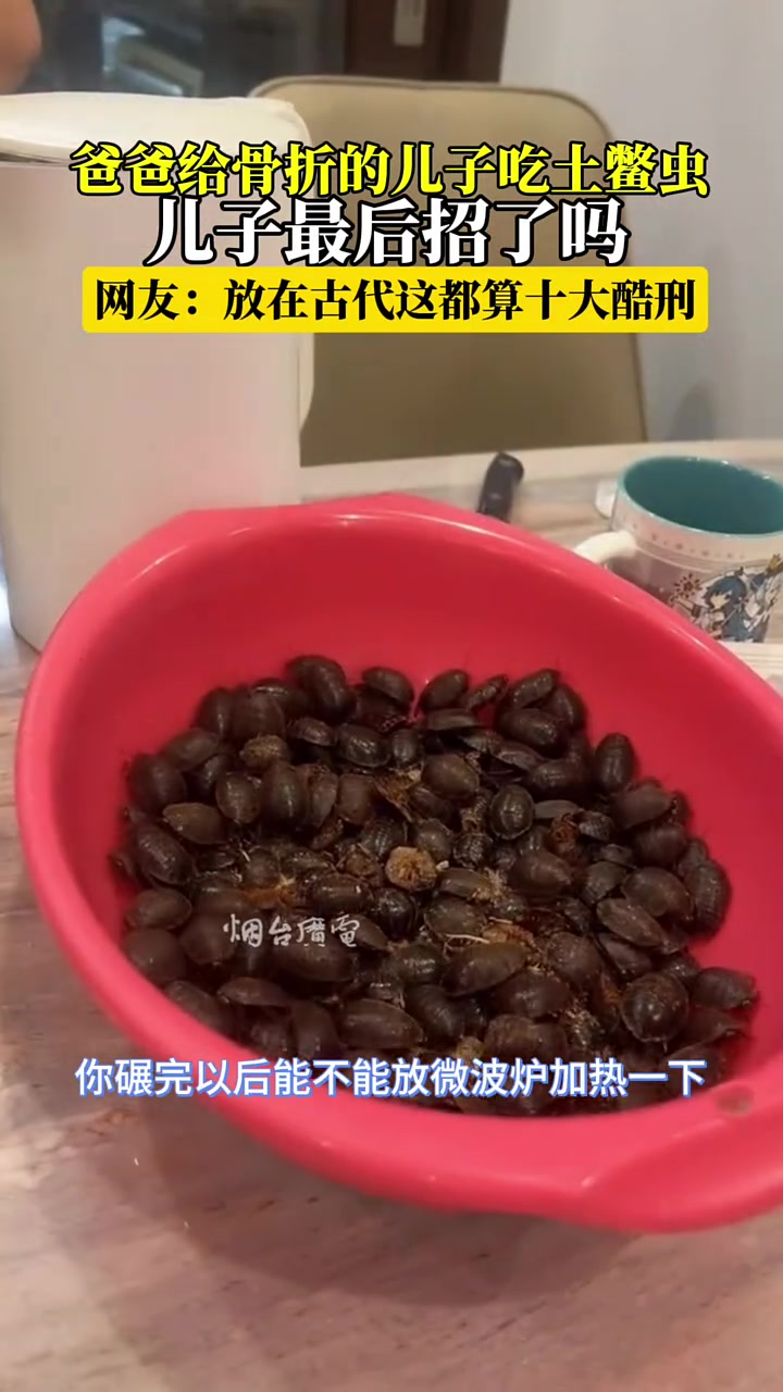 爸爸给骨折的儿子吃土鳖虫儿子最后招了嘛