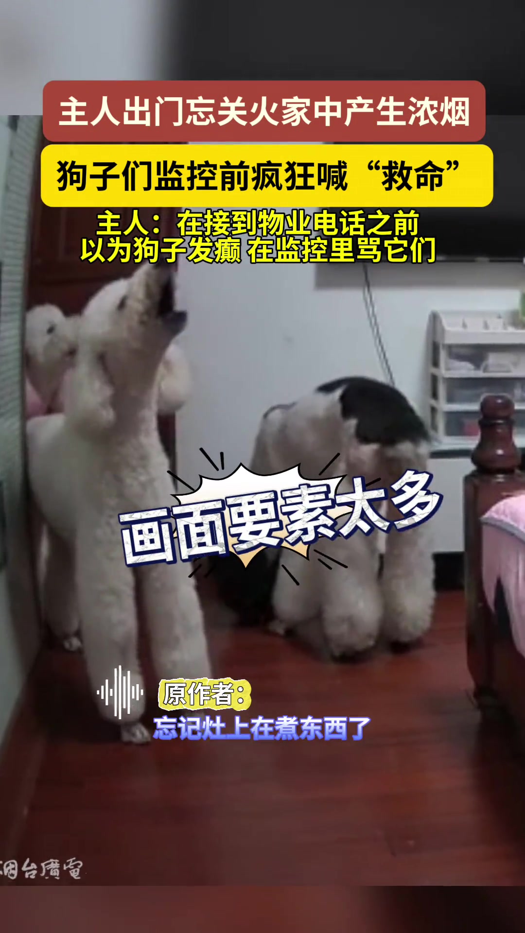 主人出门忘关火，狗子们疯狂喊“救命”