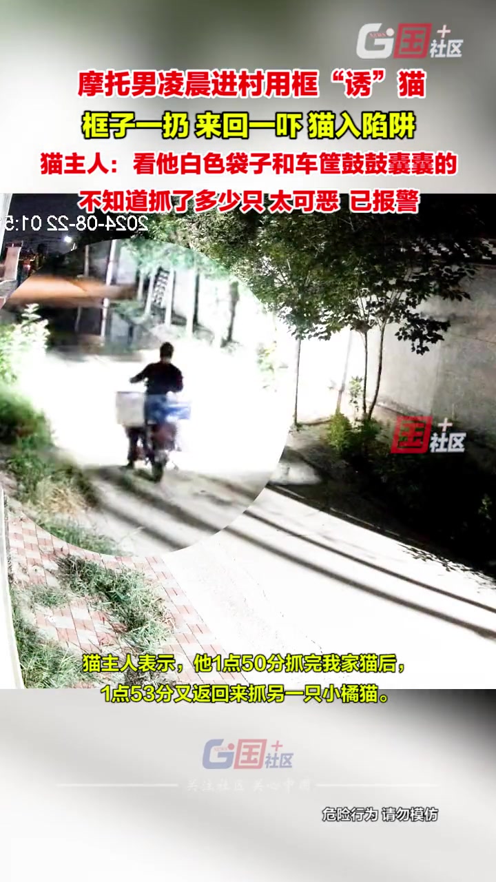 摩托男凌晨进村偷猫，一偷一个准，太可恶了！